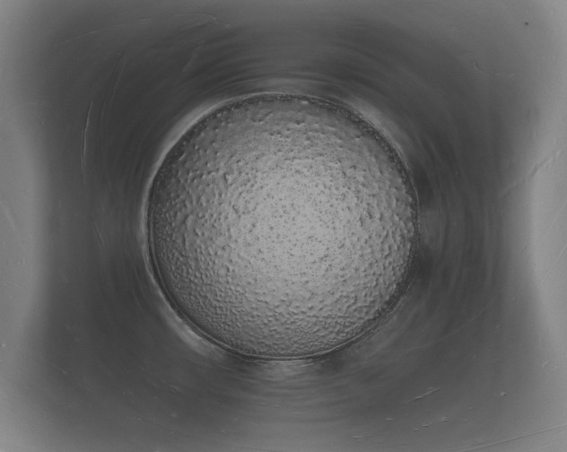 X0000112141482200908141144