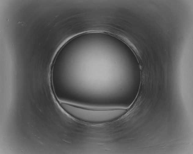 X0000112141484200908141144