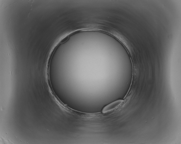 X0000112141485200908141144