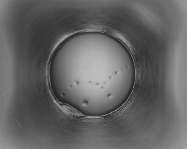 X0000112141487200908141144