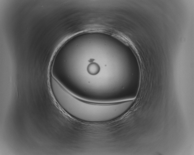 X0000112141488200908141144