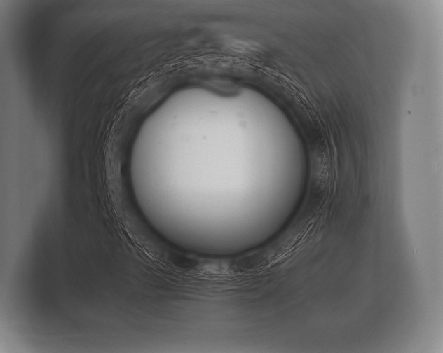 X0000112141489200908141143