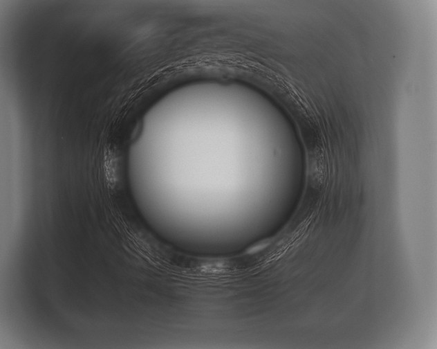 X0000112141490200908141143