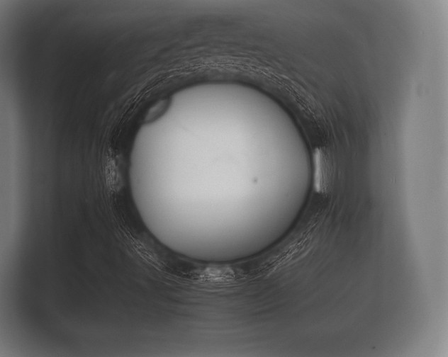 X0000112141491200908141143