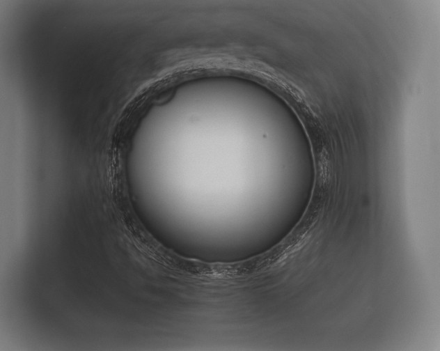 X0000112141494200908141143