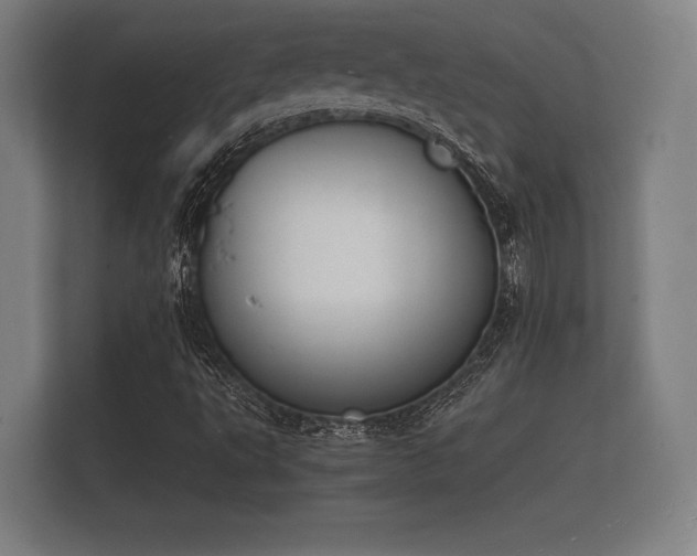 X0000112141495200908141143