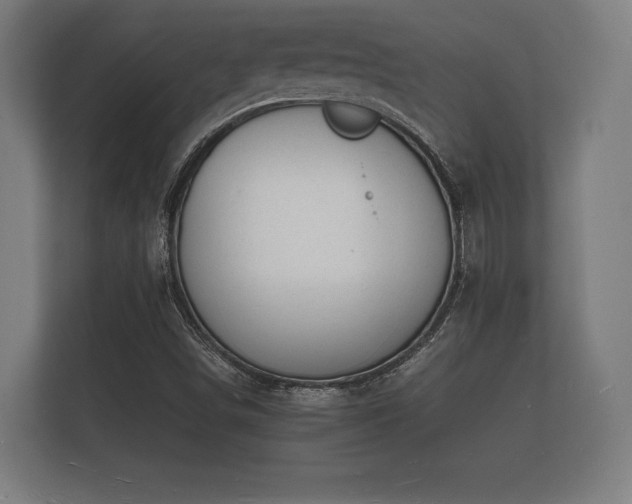 X0000112141498200908141143