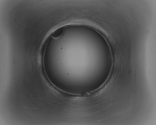 X0000112141506200908141144