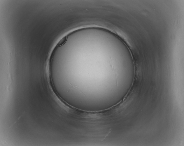 X0000112141516200908141144