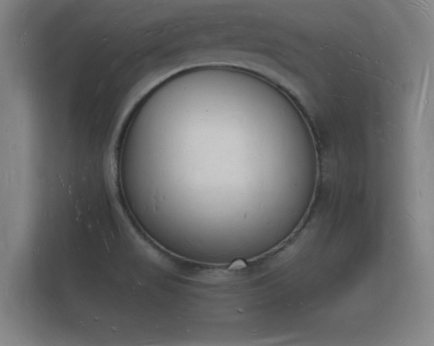 X0000112141517200908141144