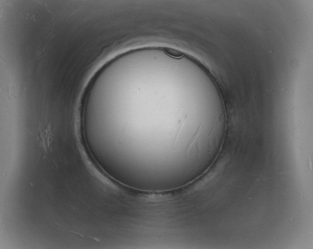X0000112141518200908141144