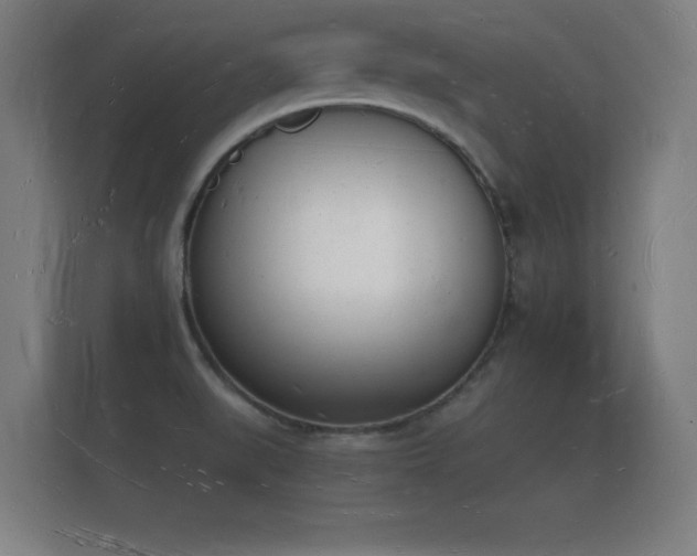 X0000112141519200908141144