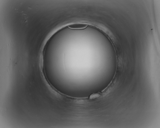 X0000112141520200908141144