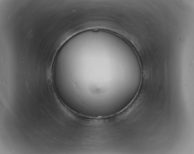 X0000112141521200908141144