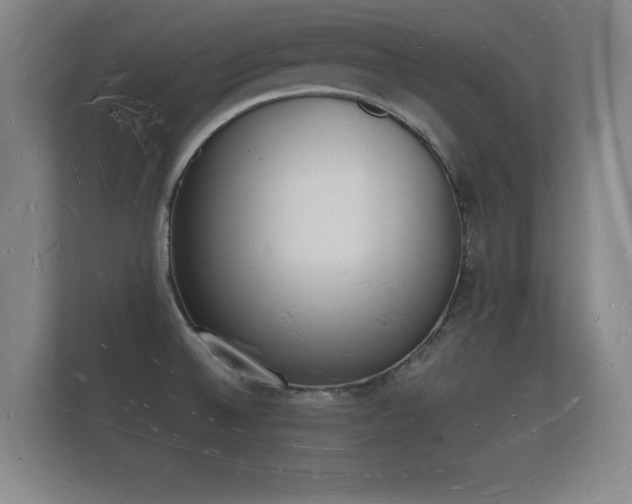 X0000112141524200908141144