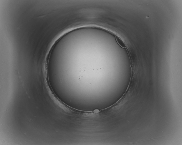 X0000112141526200908141144