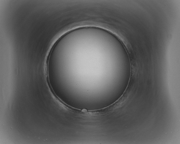X0000112141527200908141144