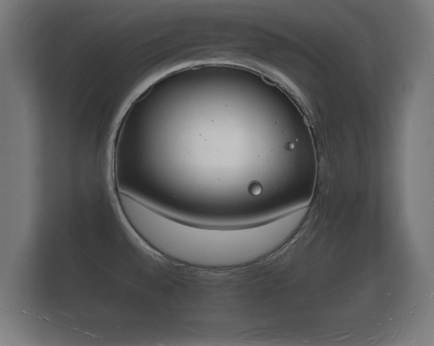 X0000112141528200908141144