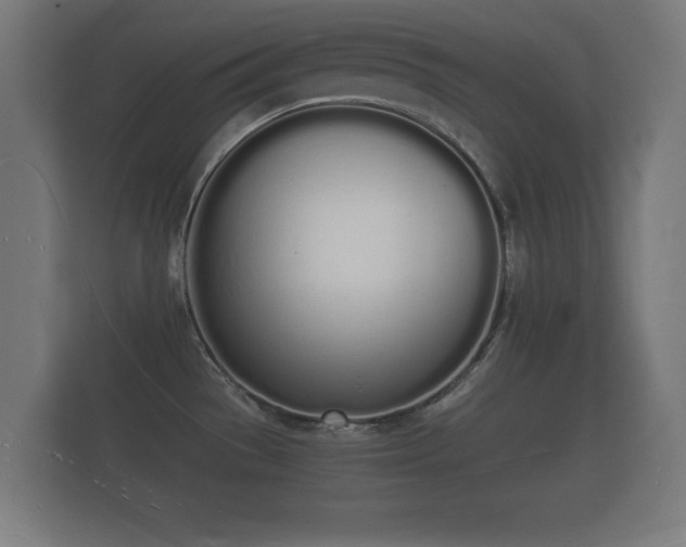 X0000112141529200908141144