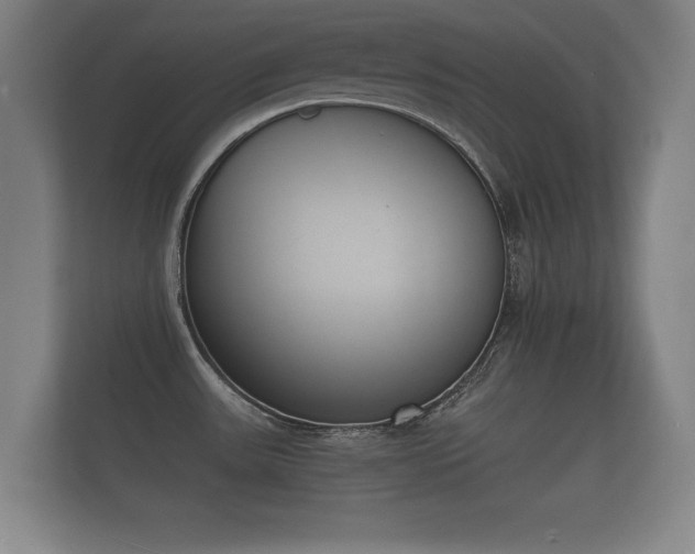 X0000112141531200908141144
