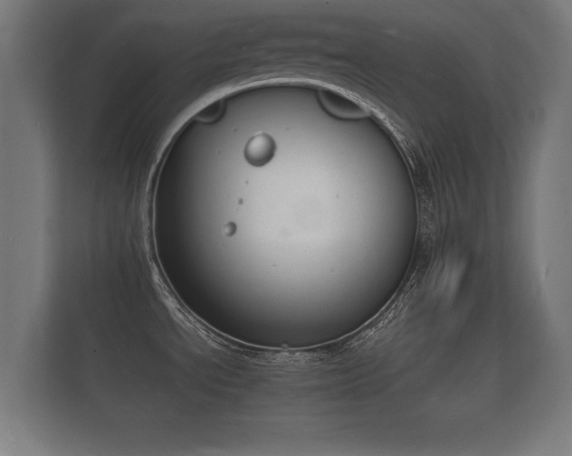 X0000112141534200908141144