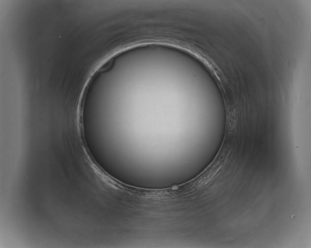 X0000112141535200908141144