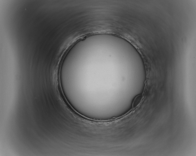 X0000112140002200908211402