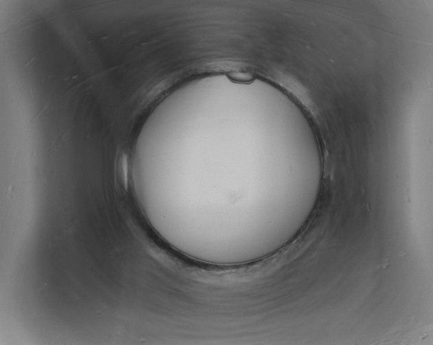 X0000112140013200908211402