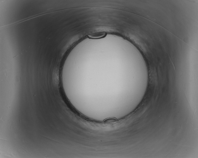 X0000112140015200908211402