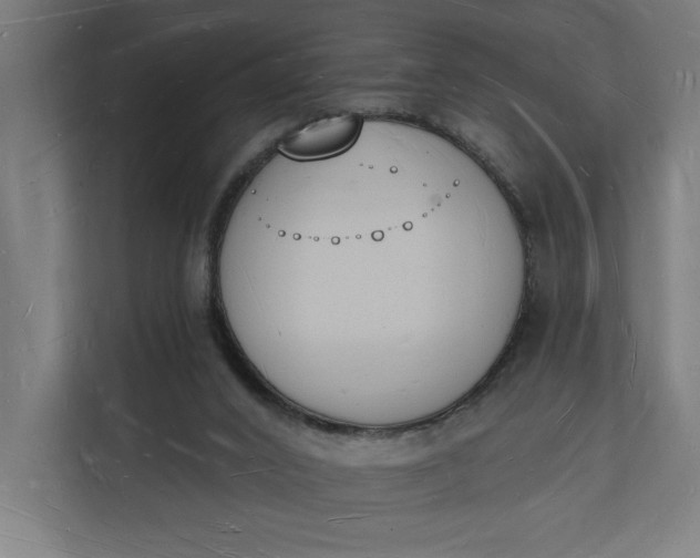 X0000112140016200908211402