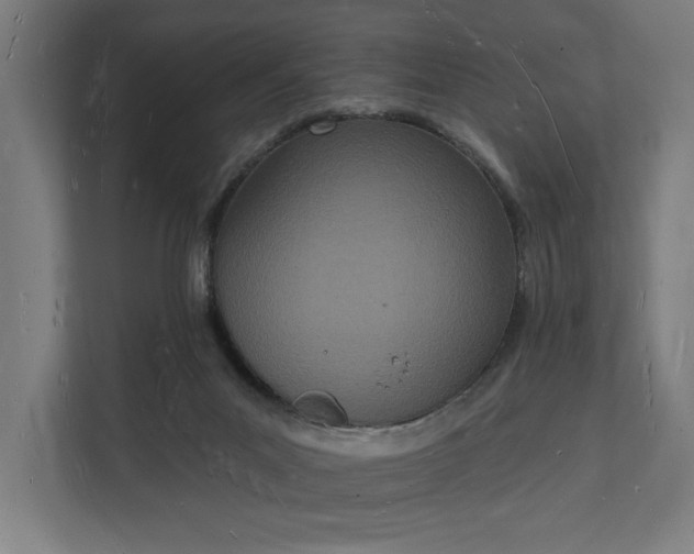 X0000112140023200908211402