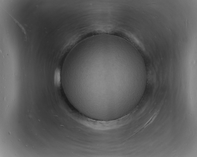 X0000112140027200908211402