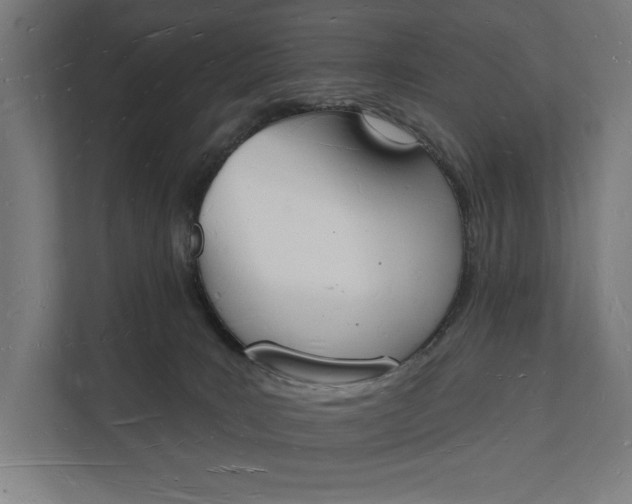 X0000112140035200908211402