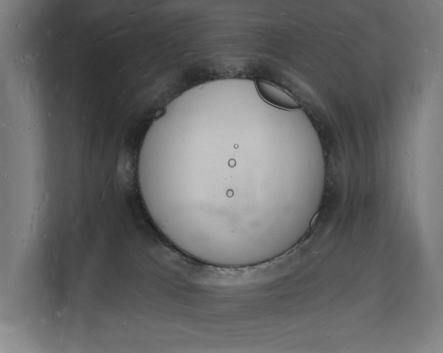 X0000112140037200908211402