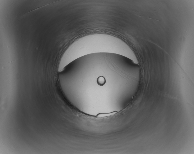 X0000112140039200908211402