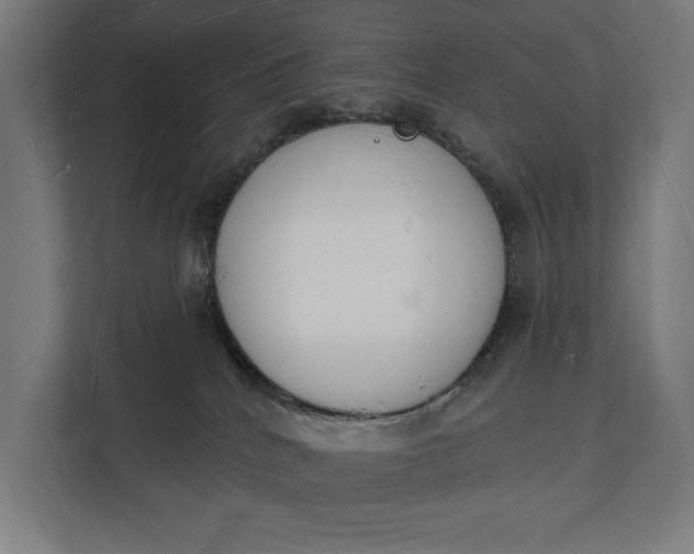 X0000112140040200908211402