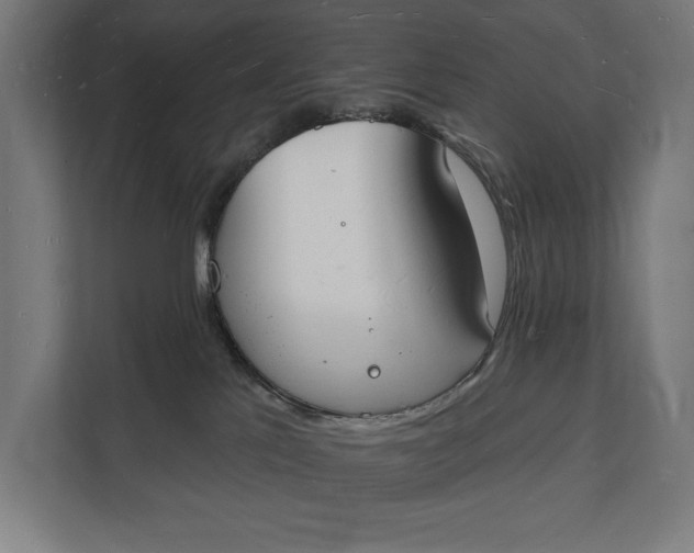 X0000112140041200908211402