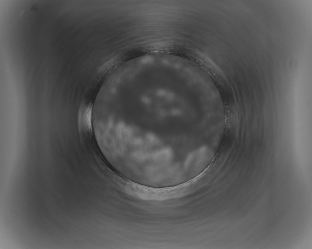 X0000112140047200908211402