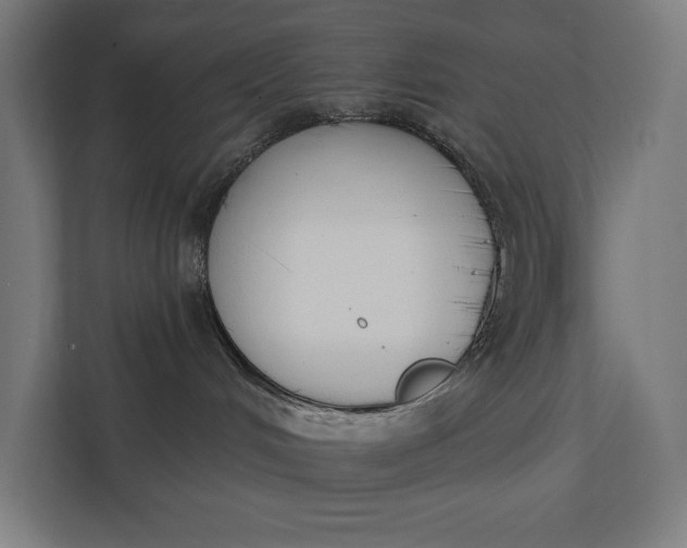 X0000112140048200908211402