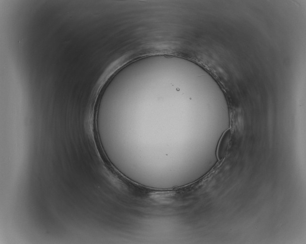 X0000112140051200908211401