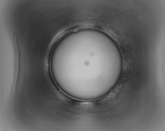 X0000112140053200908211401