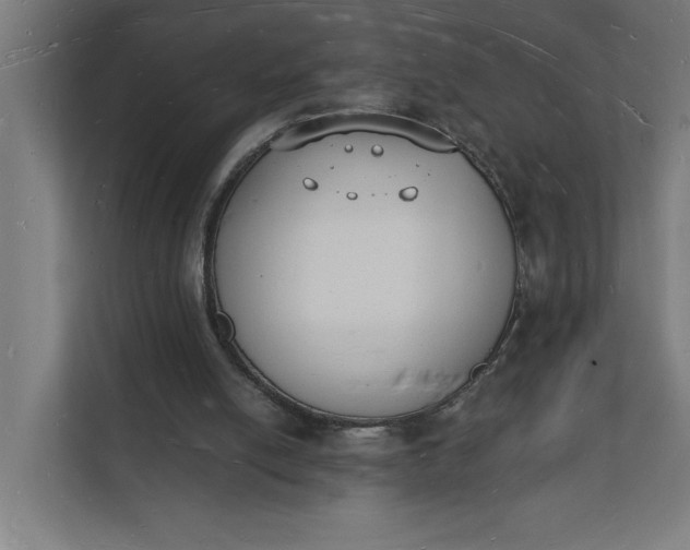 X0000112140054200908211401