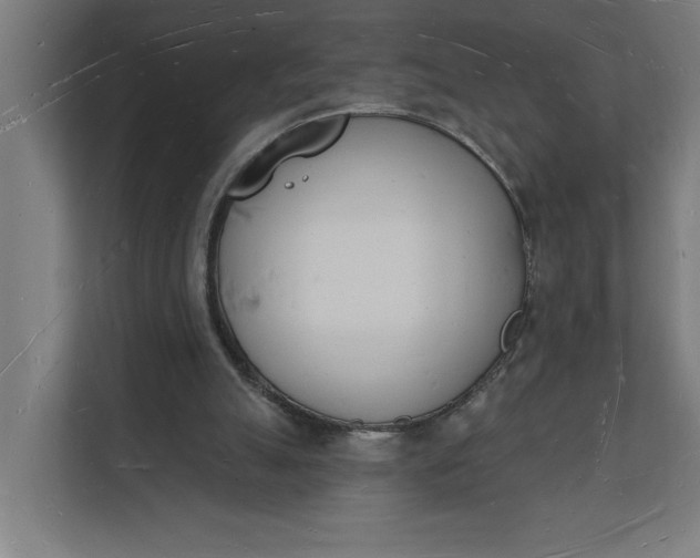 X0000112140055200908211401