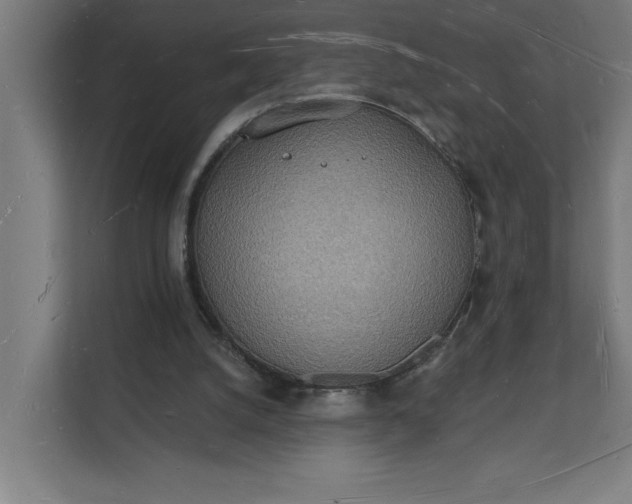 X0000112140056200908211401