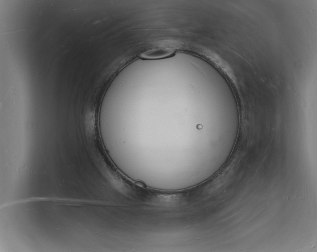 X0000112140057200908211401