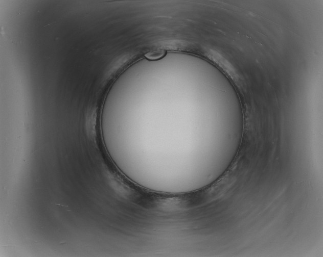 X0000112140058200908211401