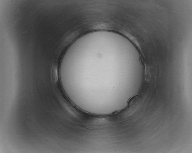 X0000112140061200908211401