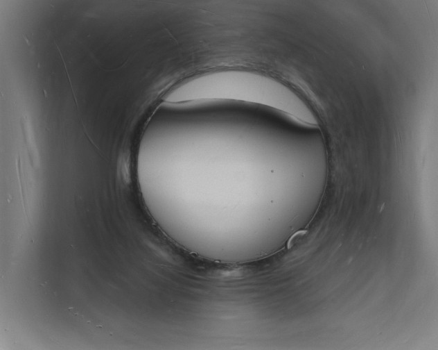 X0000112140068200908211401