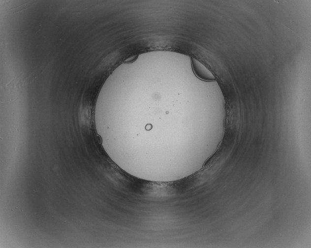 X0000112140093200908211402