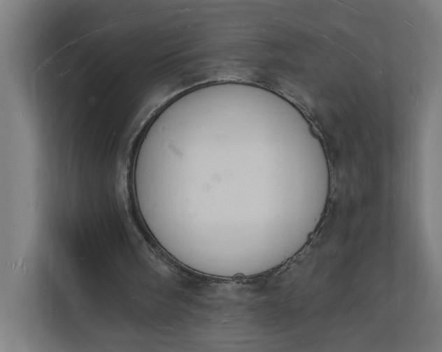 X0000112140098200908211401